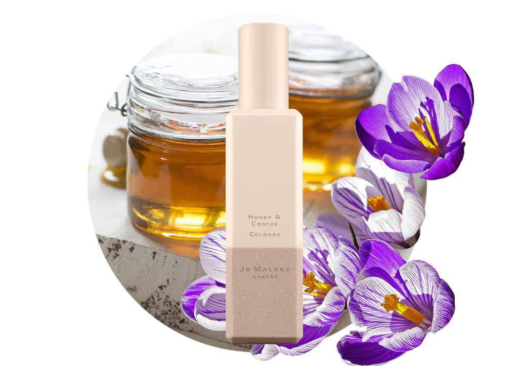 Jo malone shop honey and crocus