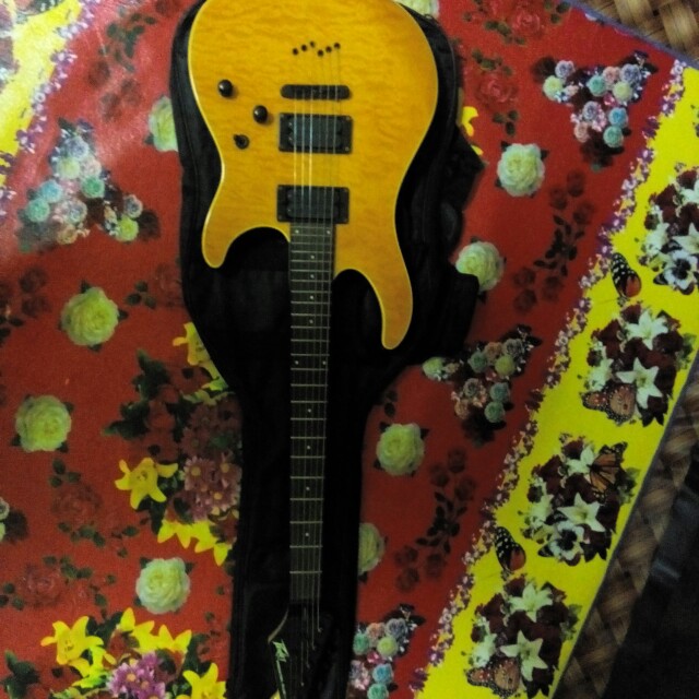 Peavey predator shop plus exp price