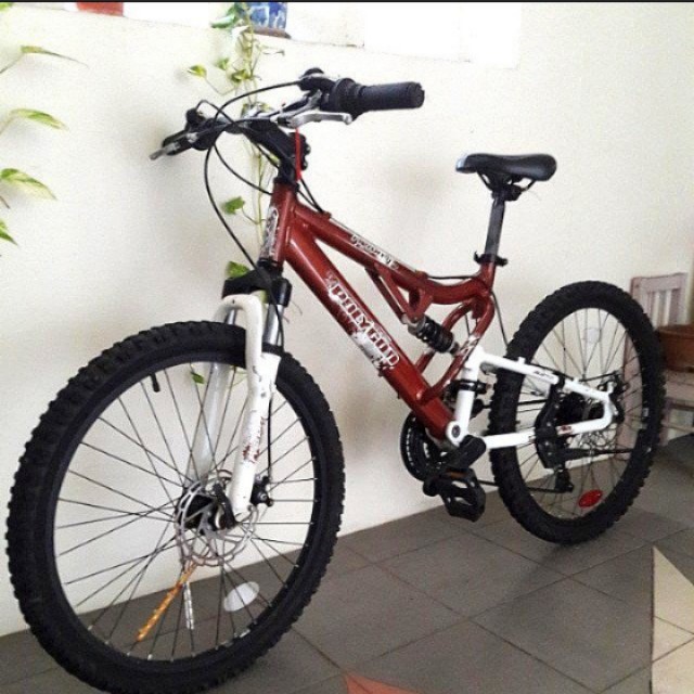 polygon 24 inch mountain bike