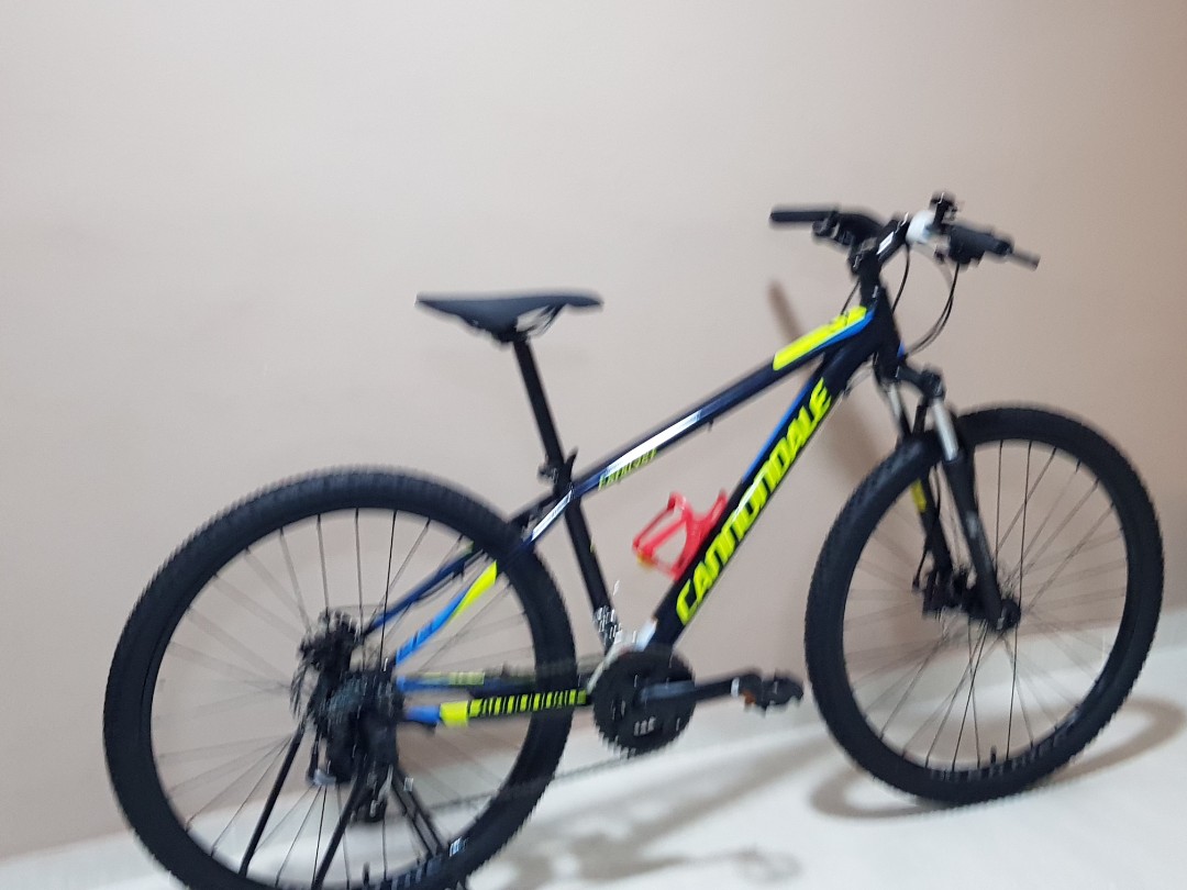 cannondale catalyst