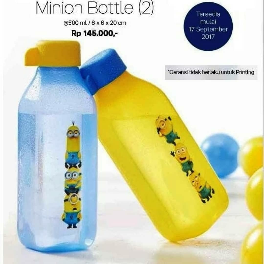 Eco Bottle Minion eco bottle minion tupperware kitchen appliances di Eco Bottle Minion eco bottle minion tupperware kitchen appliances di