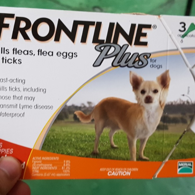 frontline flea killer