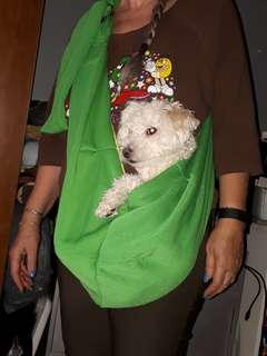 Pet Sling