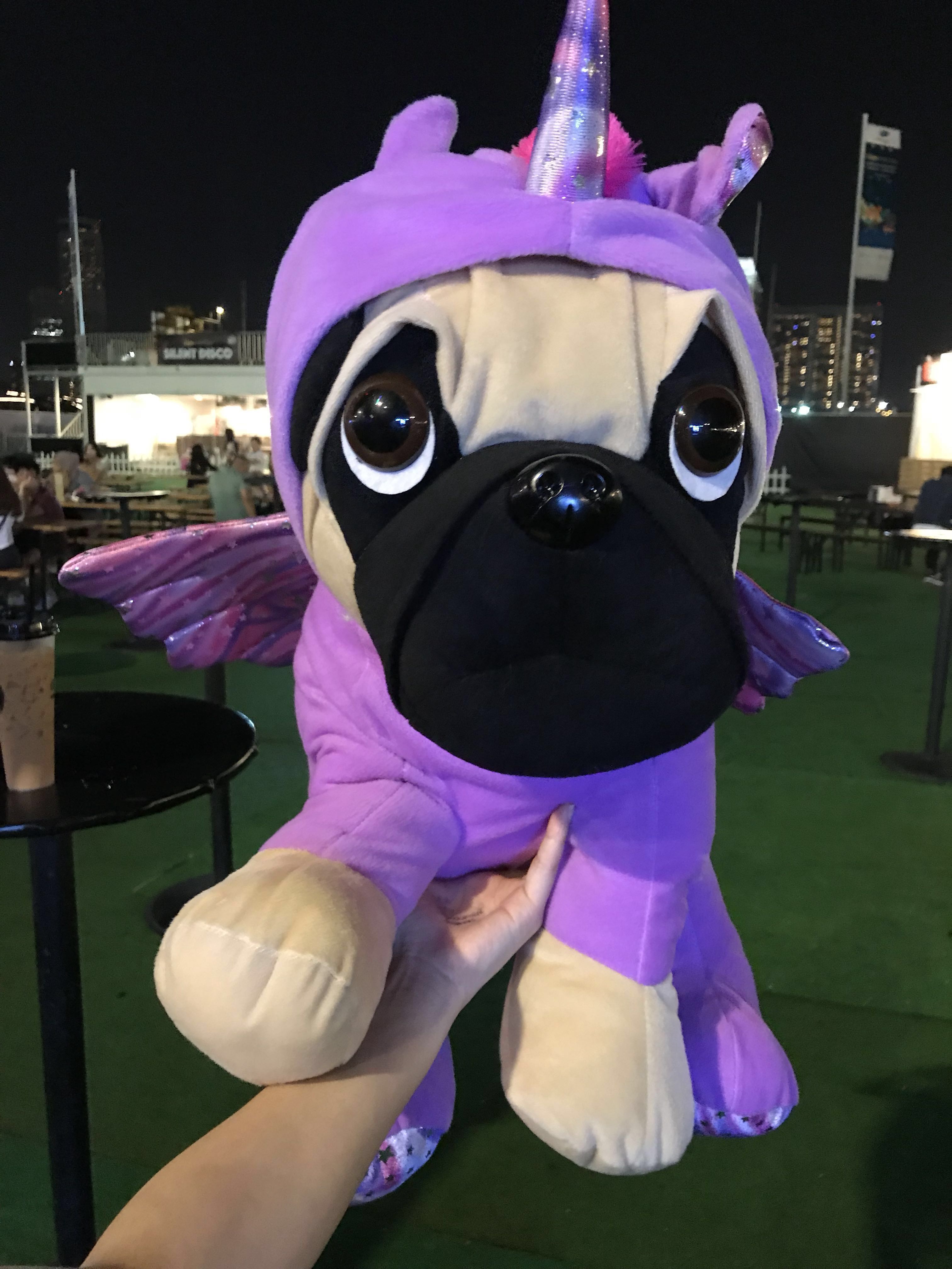 unicorn pug teddy