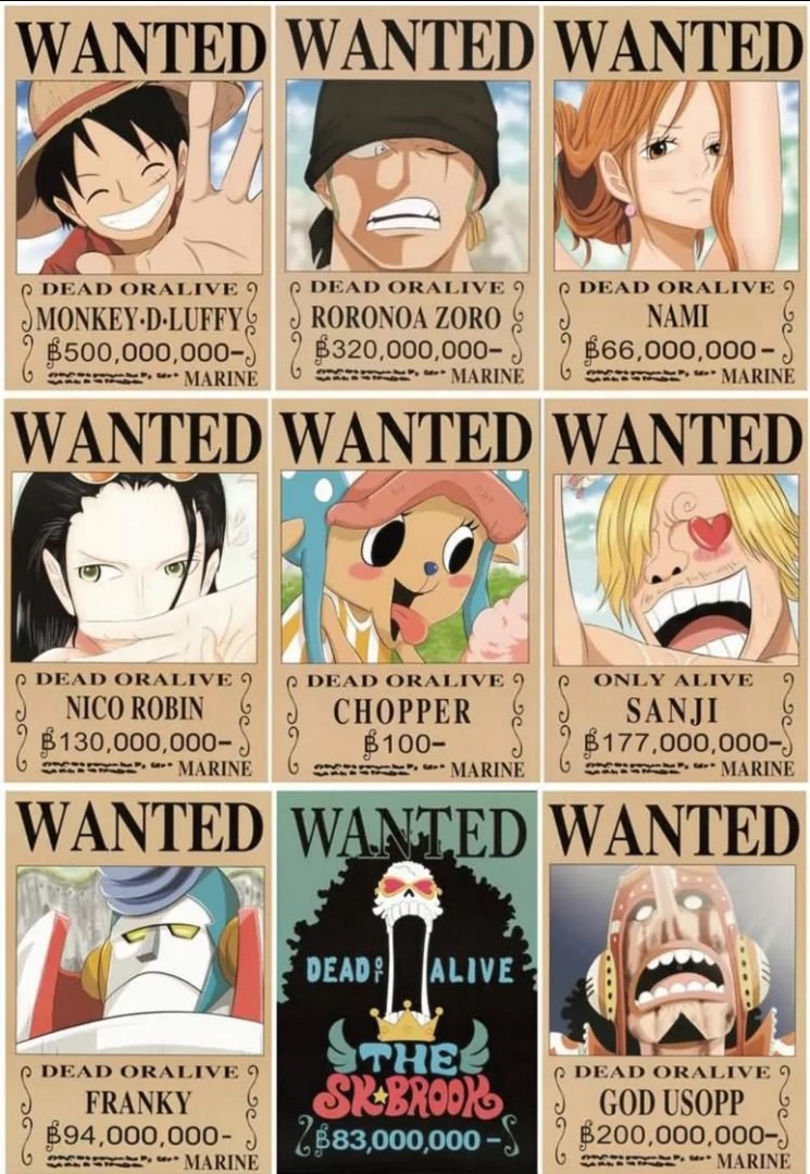 One Piece Dragon Bounty