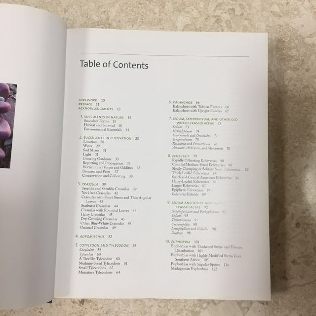 The Timber Press Guide Yo Succulent Plants Of The World Gardening On Carousell