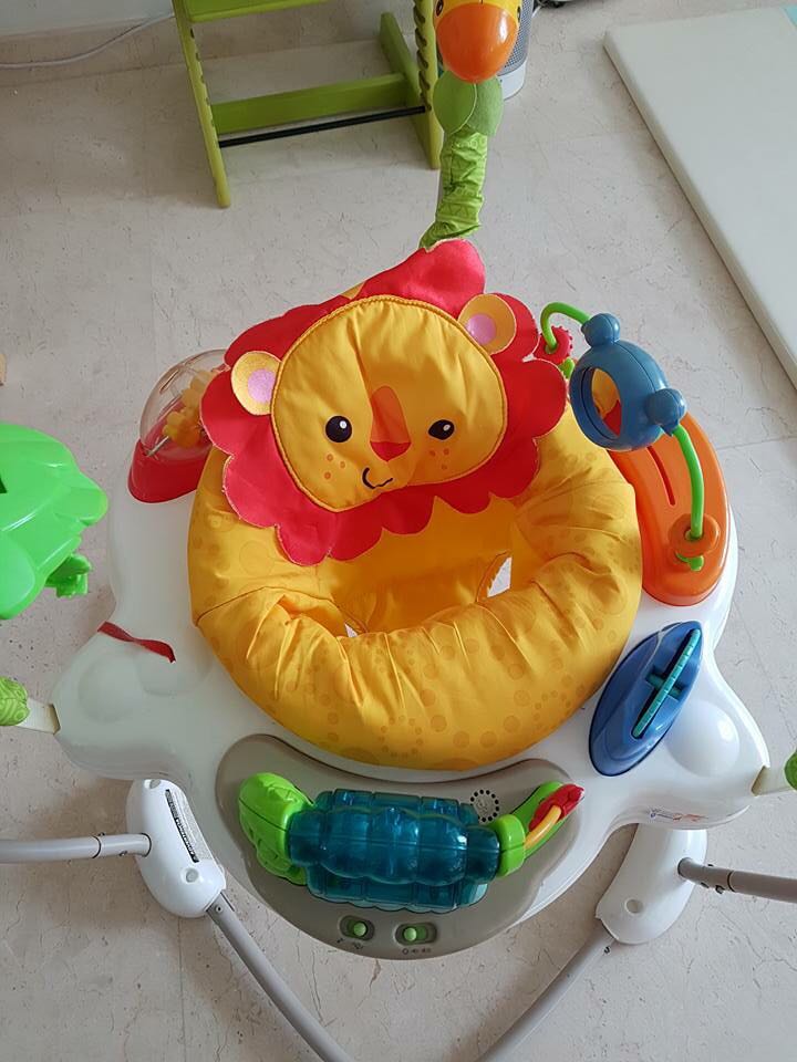 jumperoo fisher price zoo