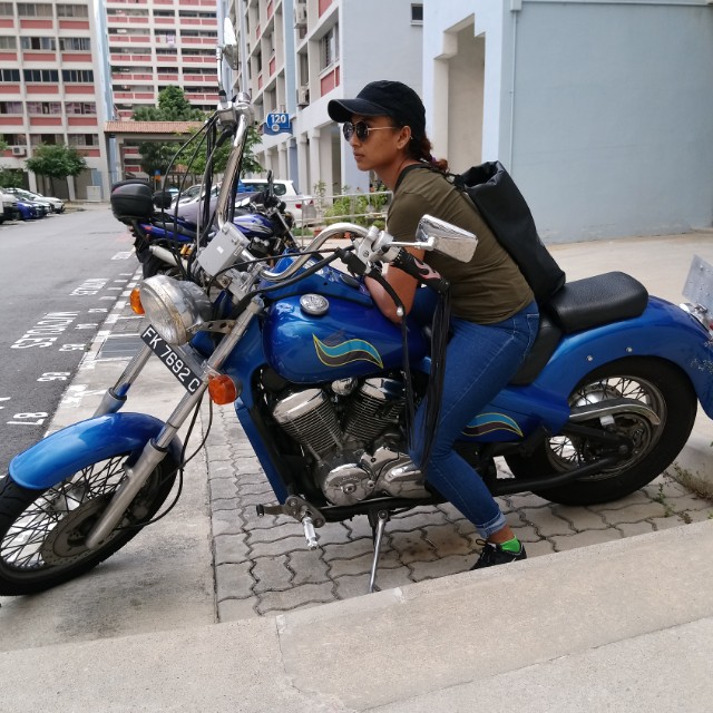 honda steed 250cc