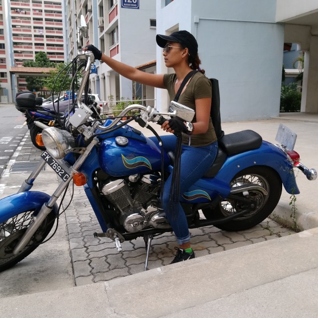 honda steed 250cc
