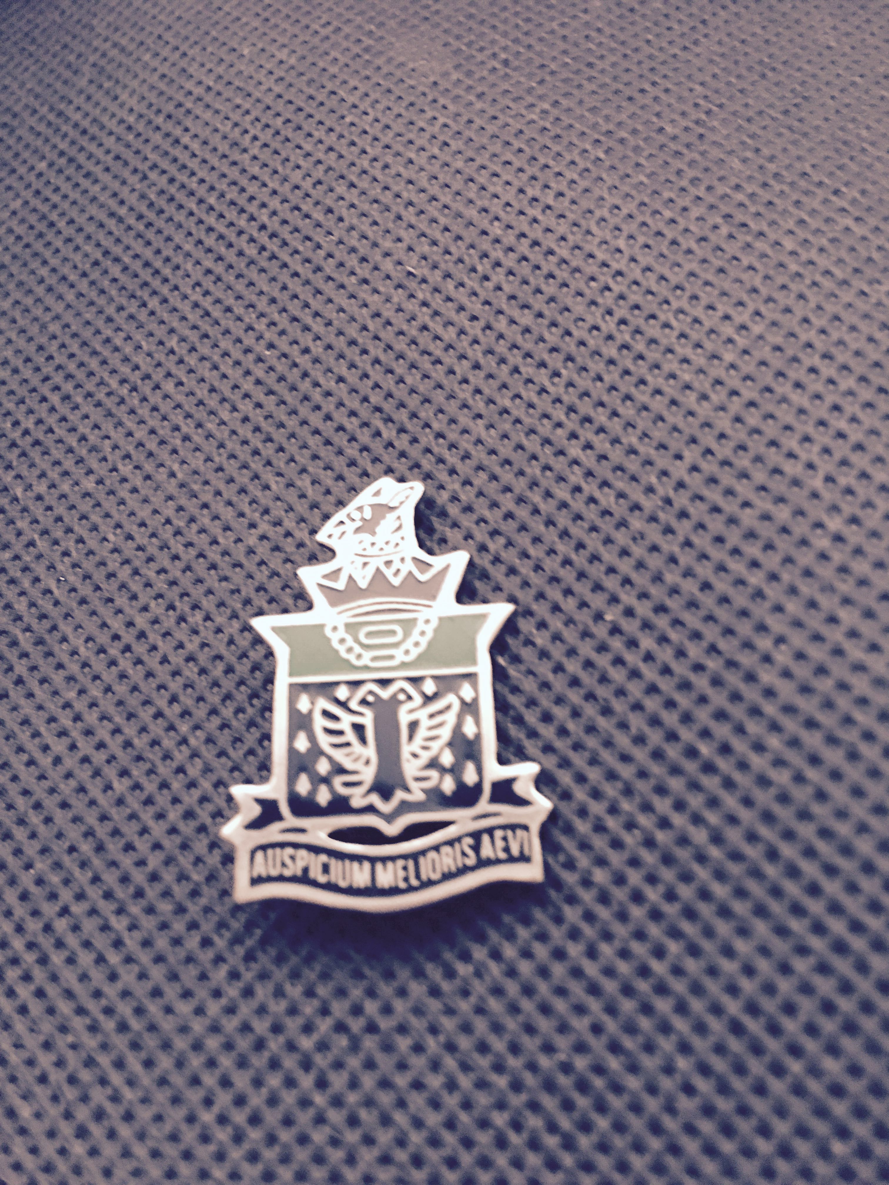 raffles institution school badge