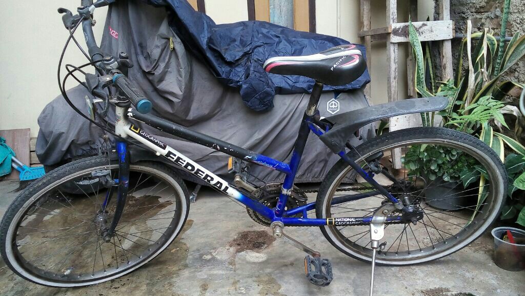 Sepeda Federal Wanita Sports Bicycles On Carousell