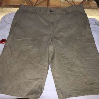 DICKIES gray plus size men tokong walking shorts W40