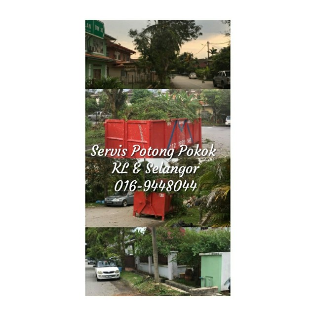 Servis Potong Pokok Kl Selangor Services Others On Carousell