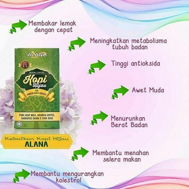Alana Green Coffee Kopi Hijau Alana 15 Sachets Food Drinks Beverages On Carousell