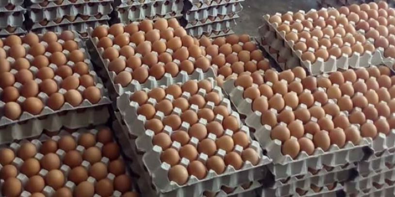 Fresh Eggs (Category: Fresh Produce) located in Cainta. Submitted by trix.trading (Listing ID 162829585, Image 2). Description: Fresh eggs‼️❗️ White and brown eggs from batangas 30 pcs per tray Prices may vary on the quantity ordered.
