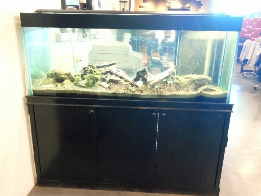 used fish tank supplies