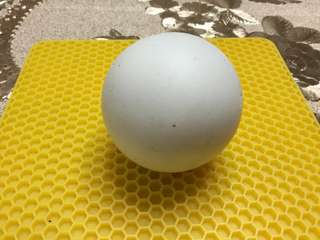 金鋼舍利 5.5cm