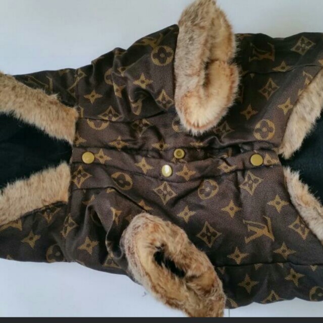 New Louis Vuitton Dog jacket, Pets Supplies, Clothing on Carousell