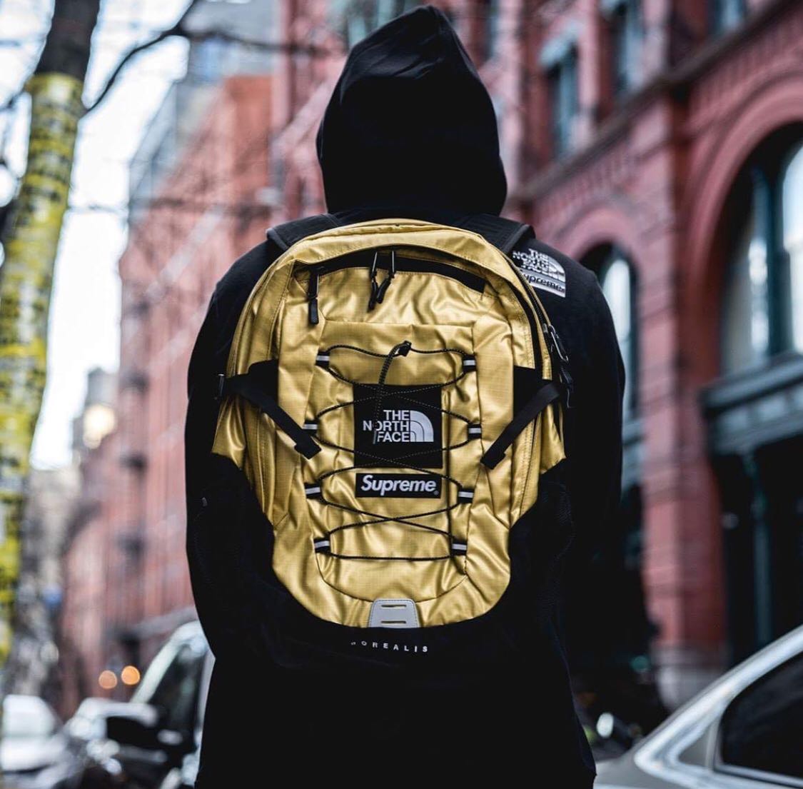 supreme The North Face Metallic backpack