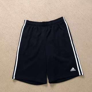 Adidas 三線運動短褲