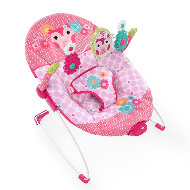 Bright starts best sale owl bouncer