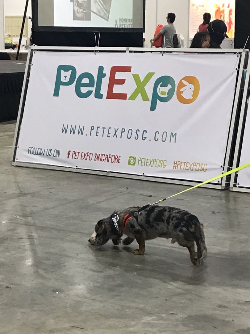 Pet Expo 2018 ticket with Coupon Booklet, Tickets & Vouchers ...