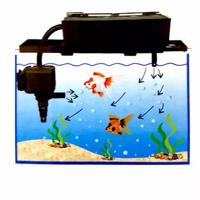 Venus Aqua 600T Aquarium Top Filter, Pet Supplies, Homes & Other Pet