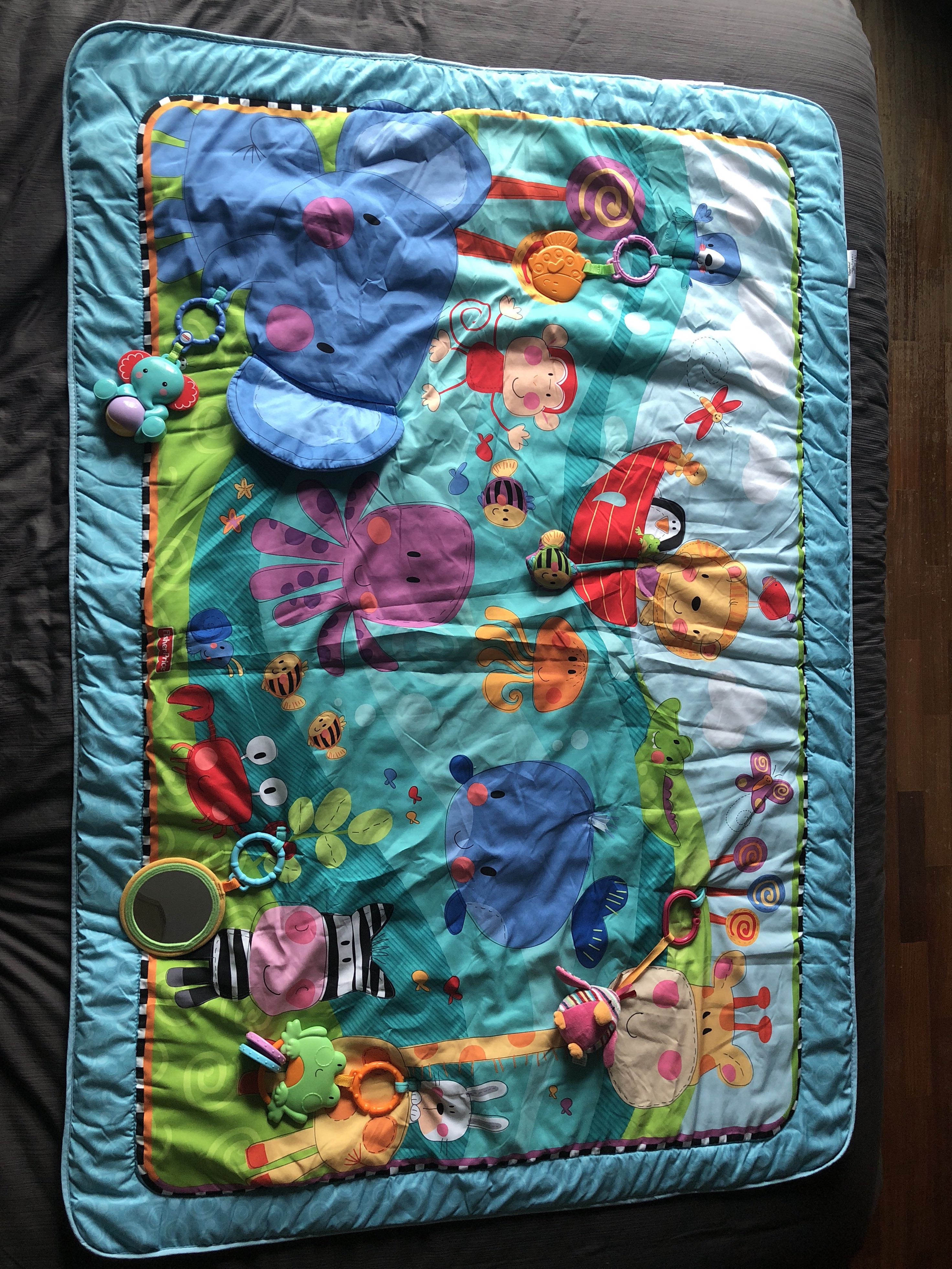 Fisher Price Discover Grow Jumbo Play Mat Preloved Babies