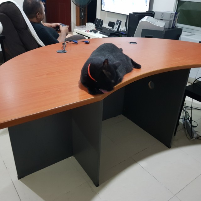 Desk cash & carry, Furniture & Home Living, Furniture, Tables & Sets