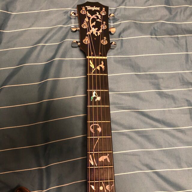 Price Drop Big Baby Taylor Us Version Hobbies Toys Music Media Musical Instruments On Carousell