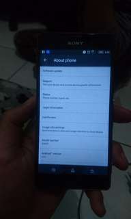 Sony z3 global