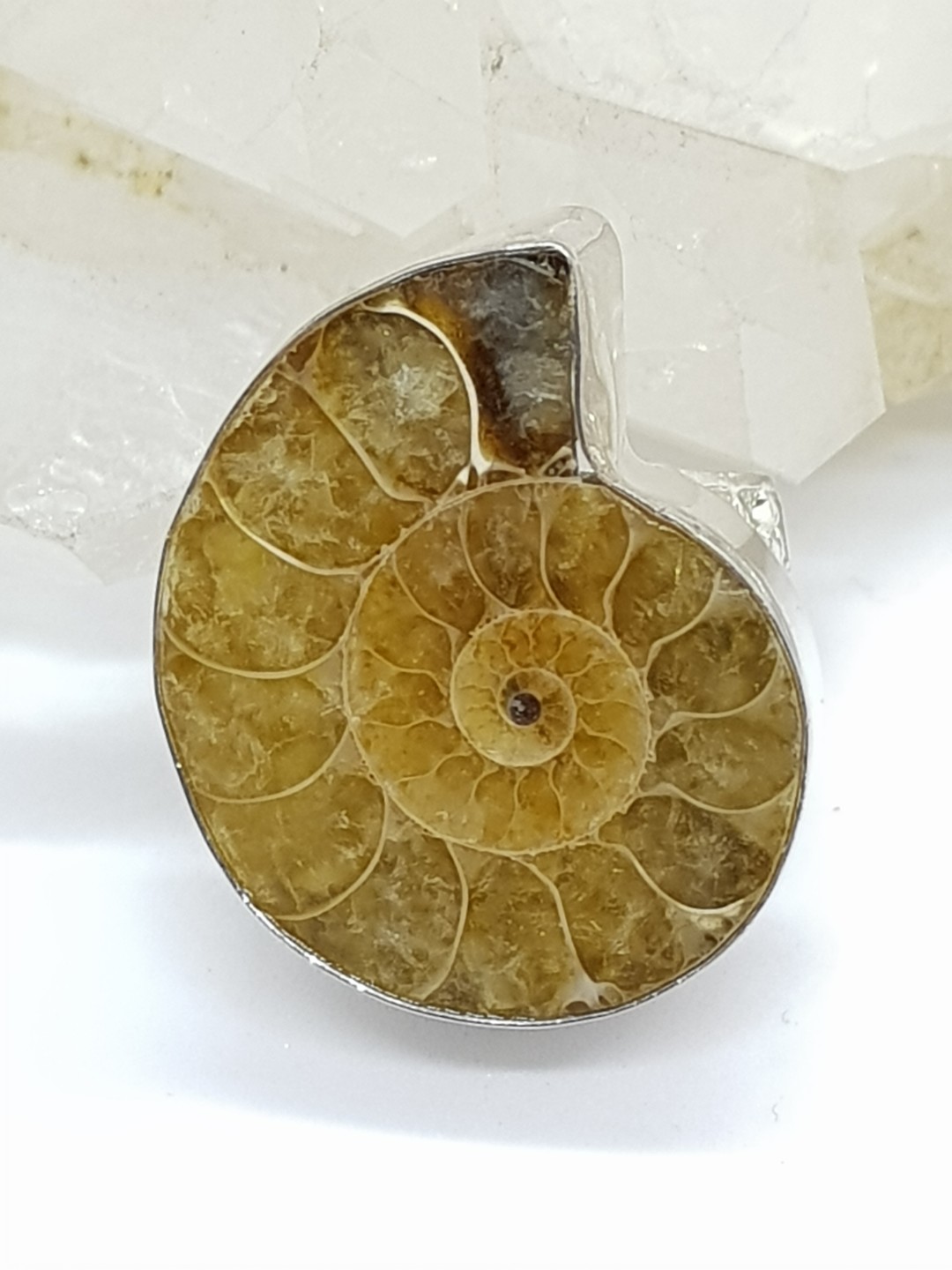 925 Silver Ammonite Ring (Category: Rings) located in Quezon City. Submitted by crystallinehaven (Listing ID 163574995, Image 1). Description: Ammonite Ring in 925 Silver setting Php1388 discounted p888 SALE 1 available.