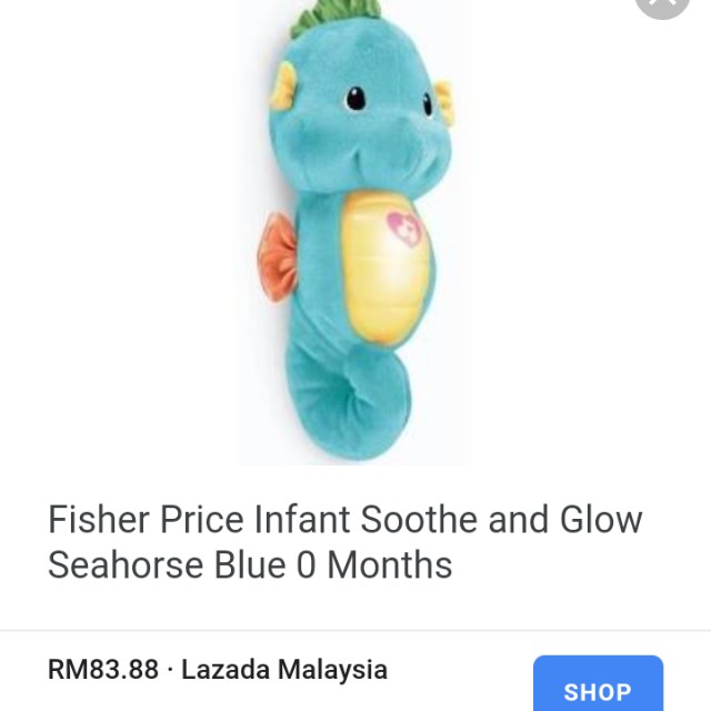 lullaby seahorse