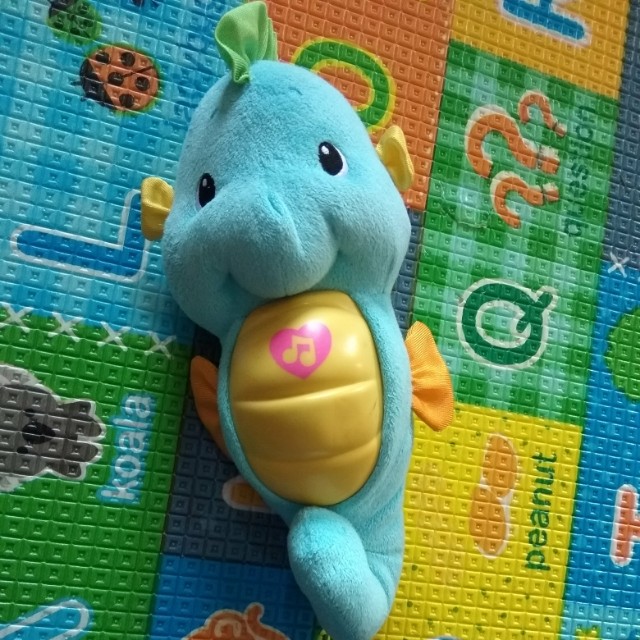 lullaby seahorse