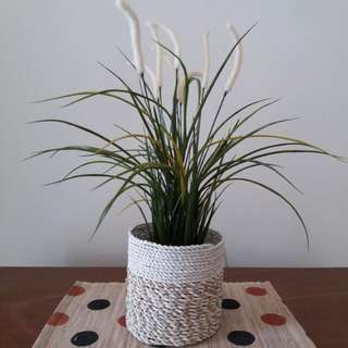 (Kategori: ) berada di . Dikirim oleh markxz (ID iklan 164062120, Gambar 1). Deskripsi: .