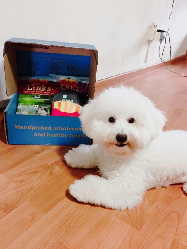 dog subscription box singapore