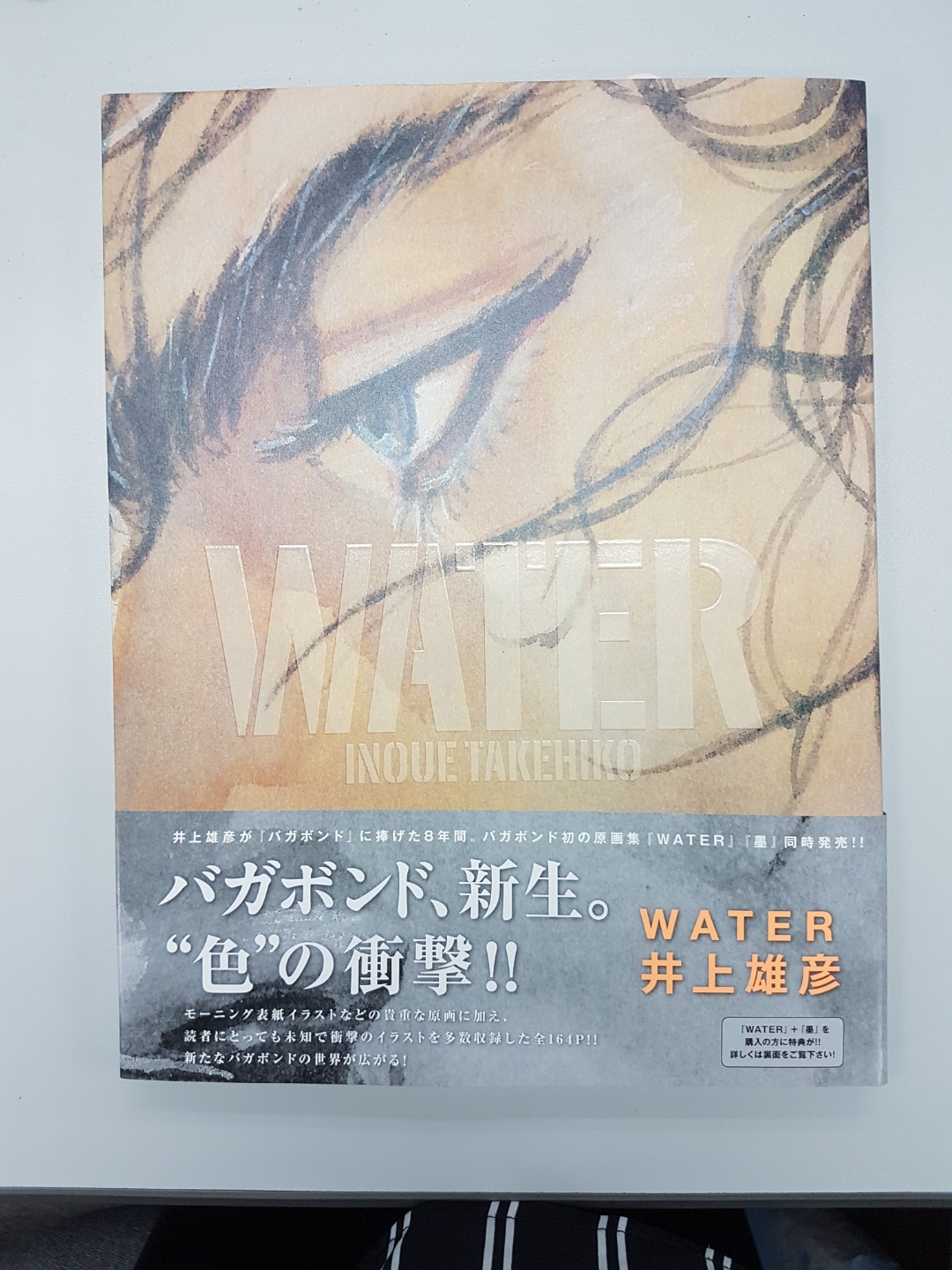 井上雄彥Water & 墨畫冊, 興趣及遊戲, 書本& 文具, 漫畫- Carousell