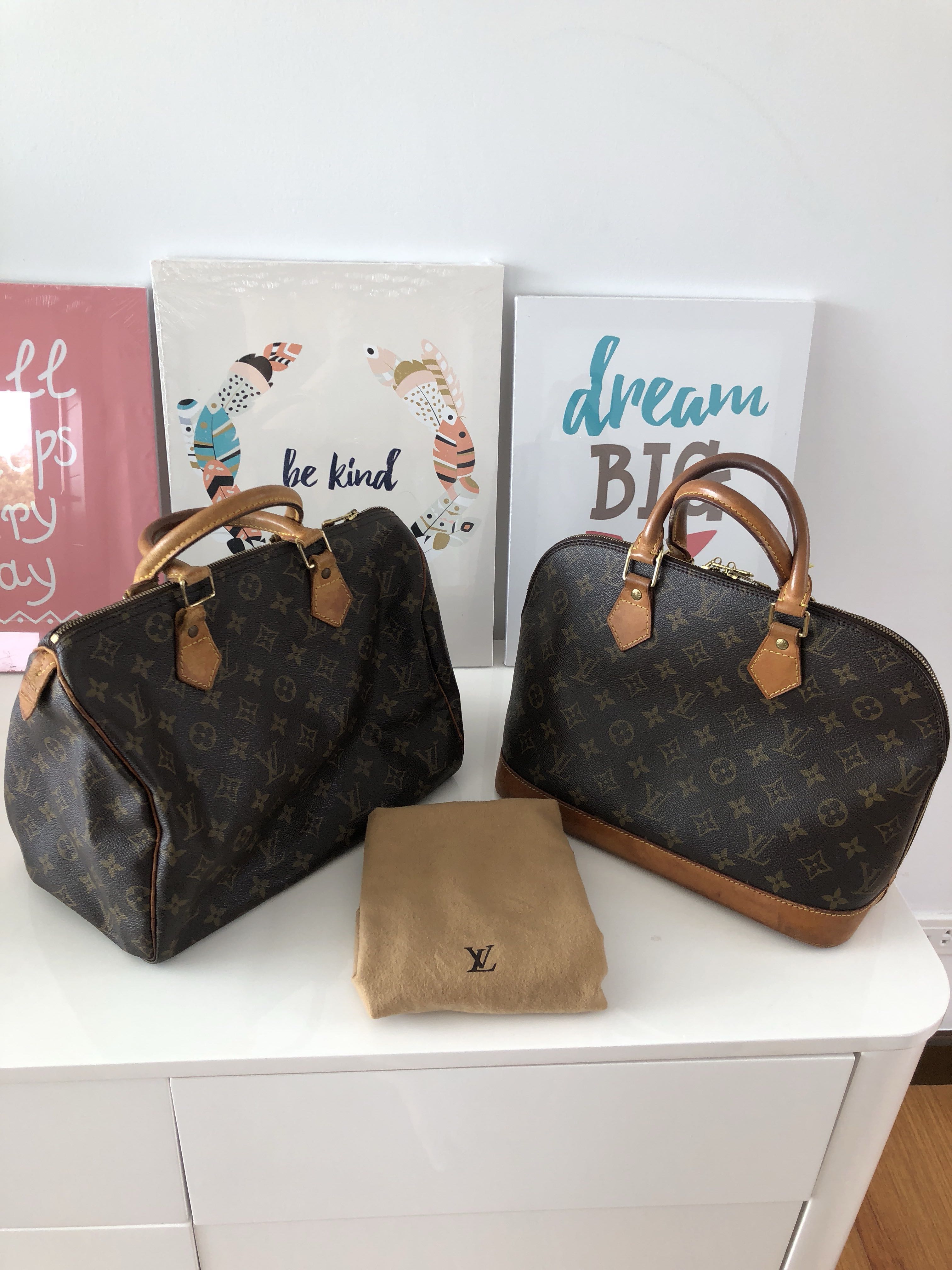 Poll: Alma bb vs speedy 20? : r/Louisvuitton