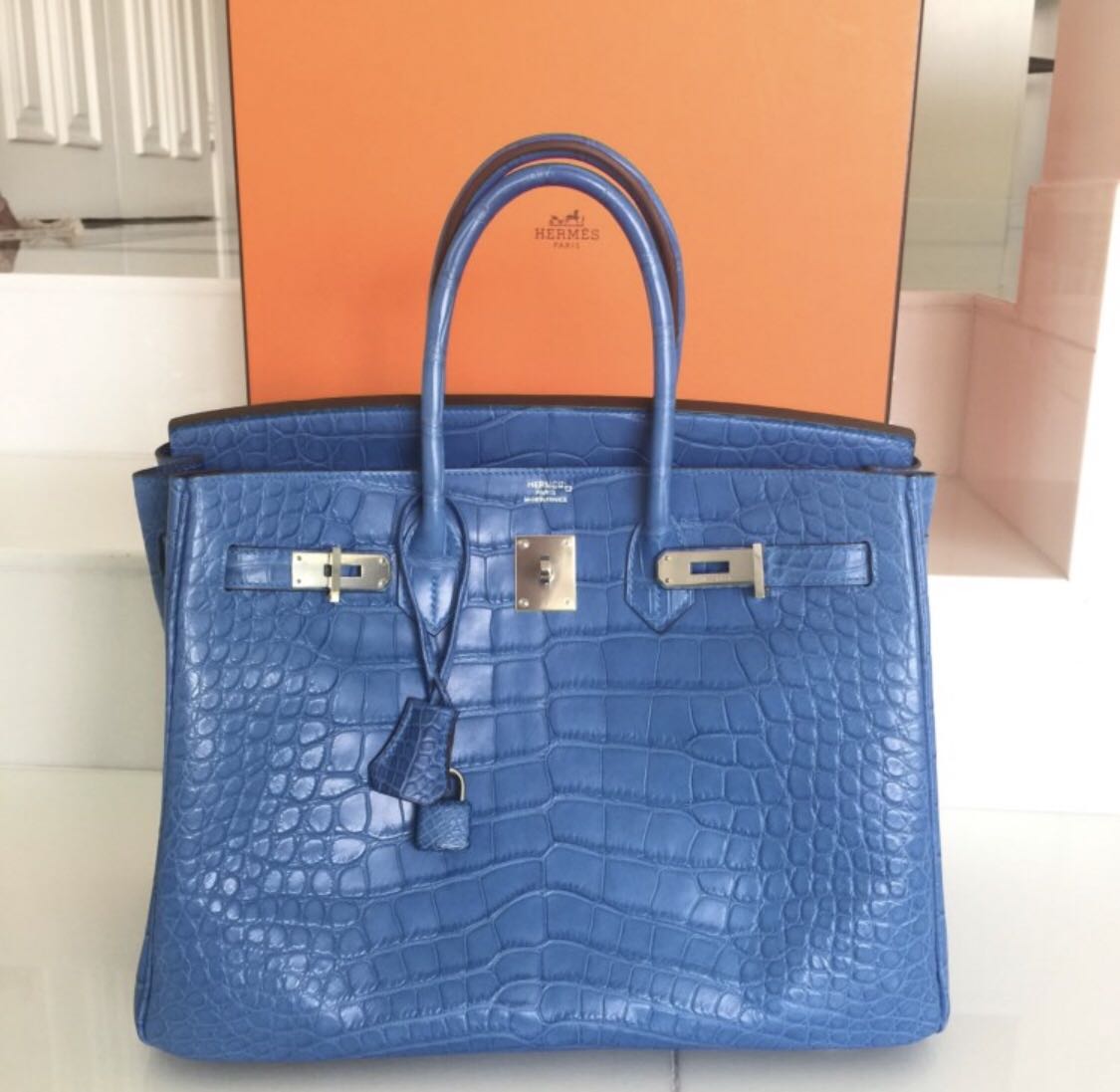 Hermes Birkin 25 Handbag 1L Cactus Matte Alligator SHW