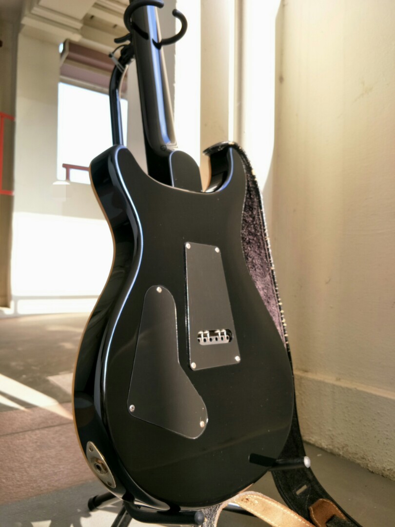 PRS SE Custom 24 Paul Allender Signature 2007 Edition, Electric Guitar, Mint Condition, Hobbies