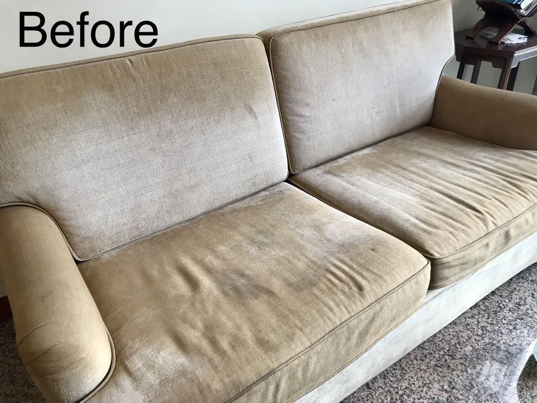 Sofa Carpet And Upholstery Shampoo Extraction Home