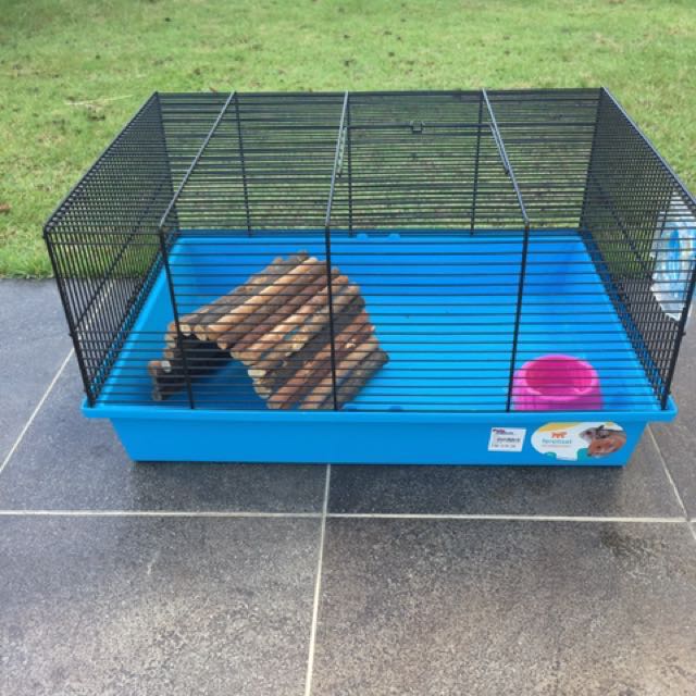 Cage for hamster and guinea pig, Pet Supplies, Homes & Other Pet
