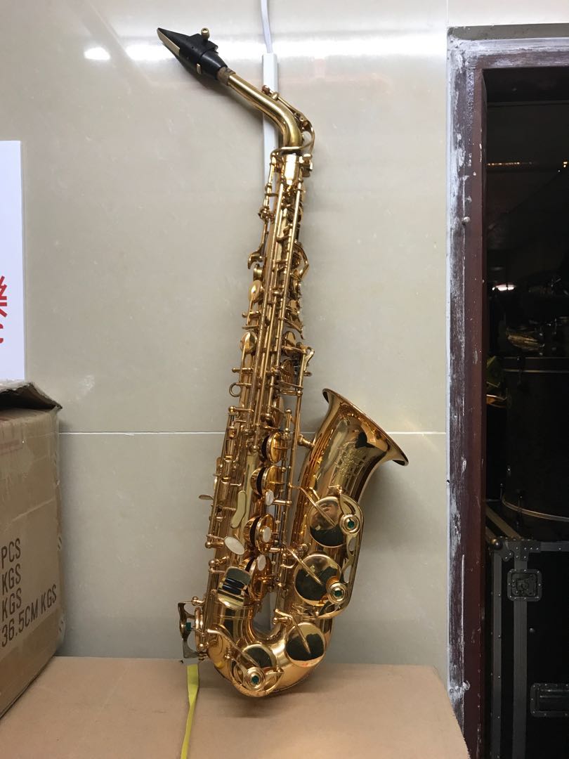Mokoto Alto Saxophone + 4 private lesson, 興趣及遊戲, 音樂樂器 & 配件, 樂器 Carousell