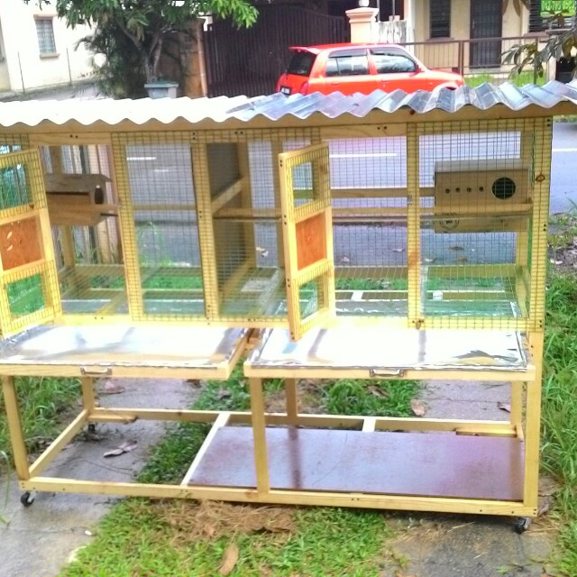 Sangkar Burung Cage Pet Supplies Pet Accessories On Carousell