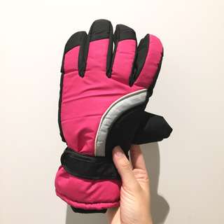 Ski or Snowboard Gloves