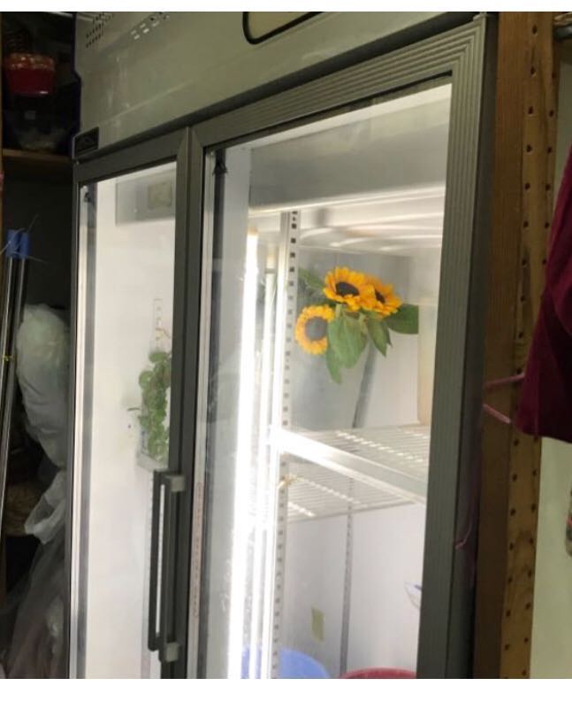 galanz bottom freezer refrigerator