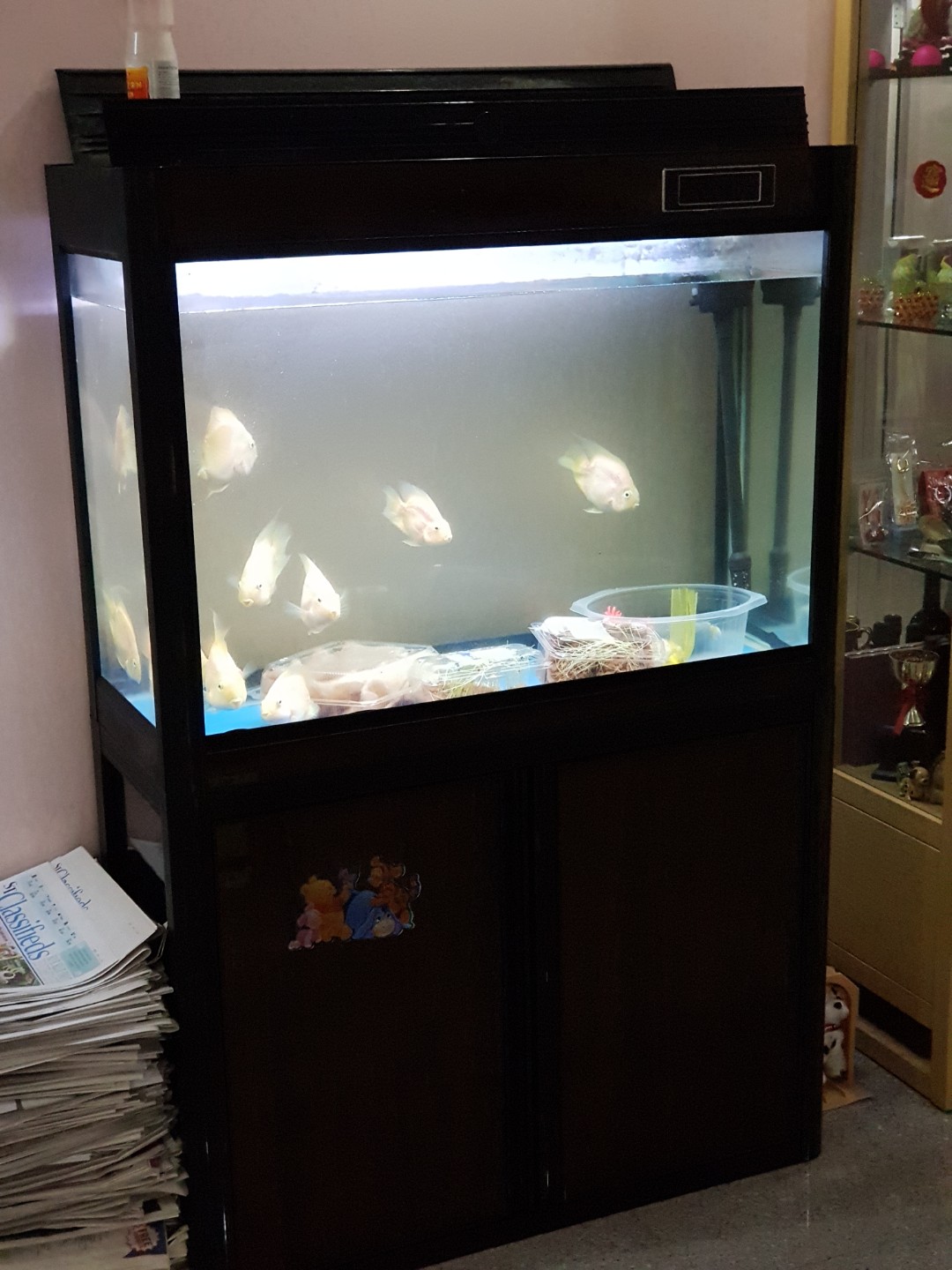 fiber fish tank