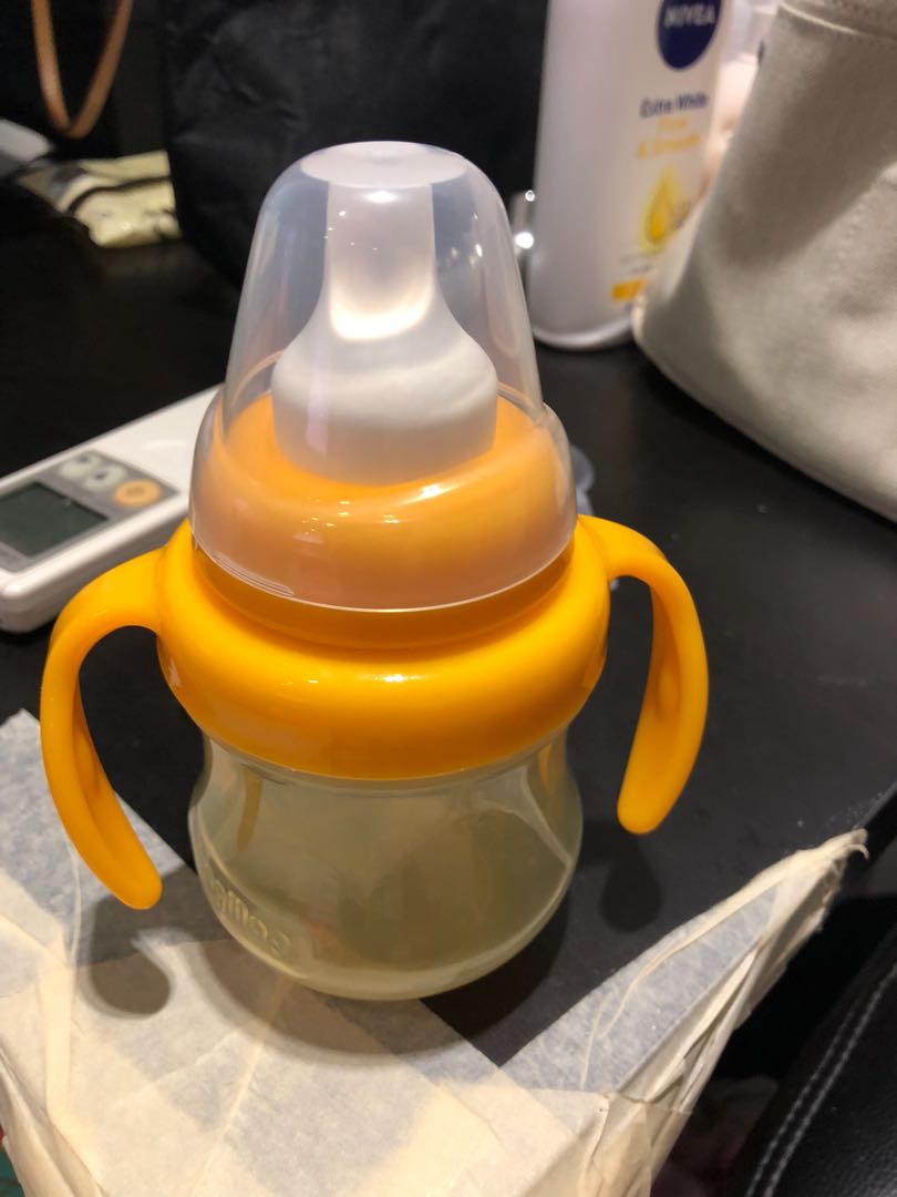 pigeon drinking bottle