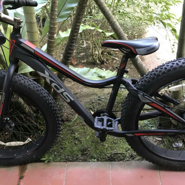 spx fat bike