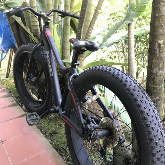spx fat bike